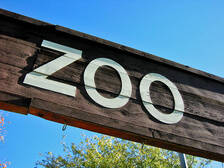 "Зоопарк", отложенный в "долгий ящик"